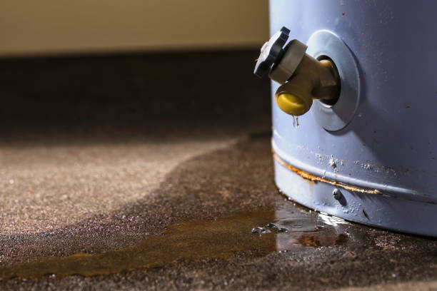 Best Water damage cleanup near me  in Princeton, KY