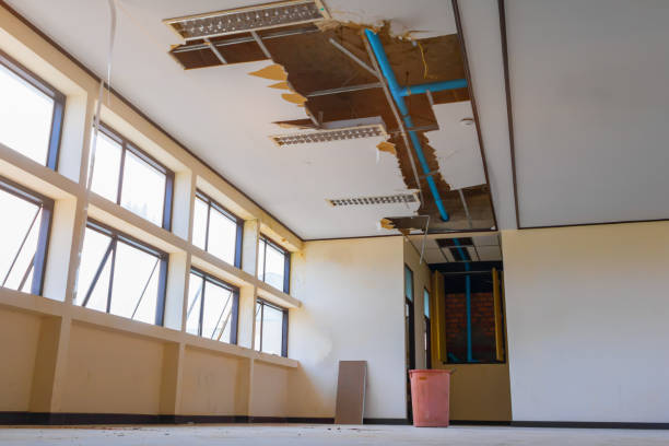 Best Water damage restoration near me  in Princeton, KY