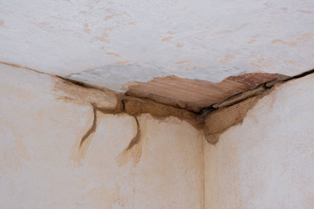 Best Commercial water damage restoration  in Princeton, KY