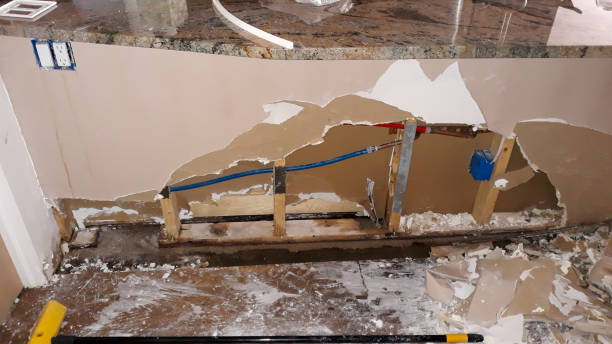 Best Basement water damage restoration  in Princeton, KY