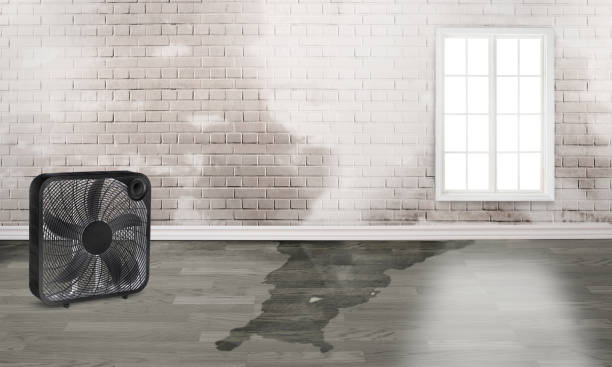 Best Ceiling water damage repair  in Princeton, KY
