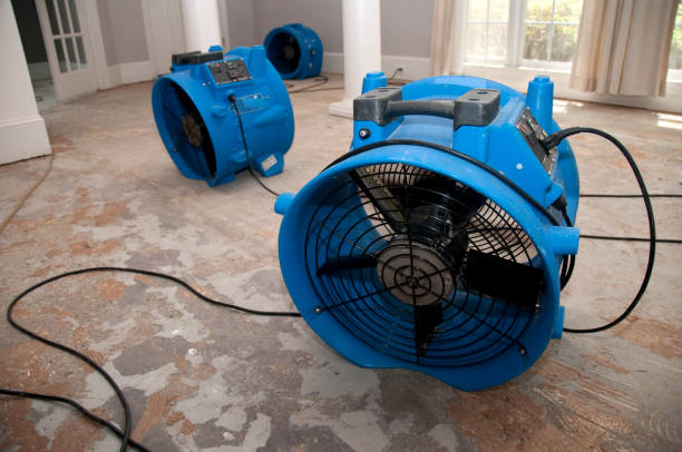 Best Fire Damage Restoration  in Princeton, KY
