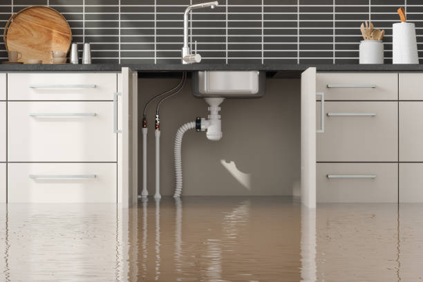 Best Flood damage cleanup  in Princeton, KY